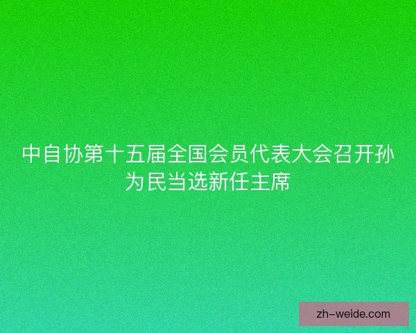 中自协第十五届全国会员代表大会召开孙为民当选新任主席
